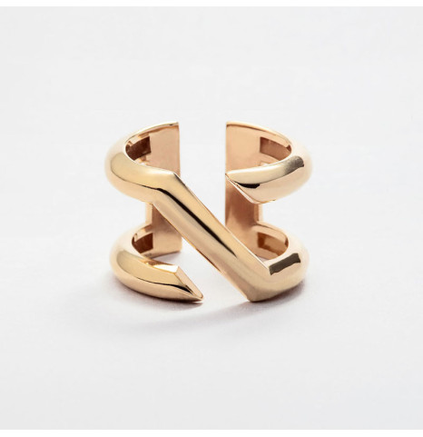 Anillo Corte Transversal...