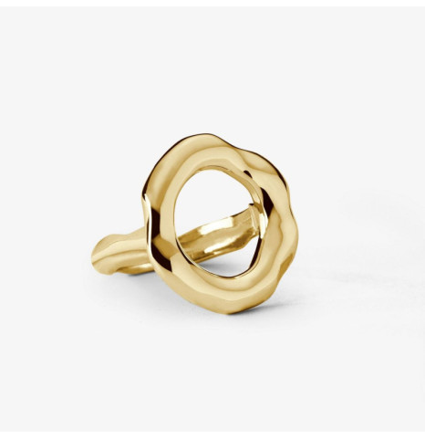 Anillo Circular Plata de ley