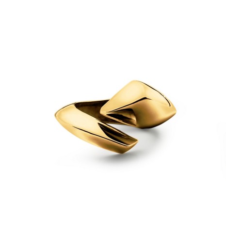 Anillo TUSK Plata de ley