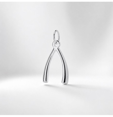 Colgante Wishbone Plata de ley